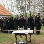 Kerbajt2012