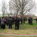 Kerbajt2012