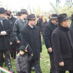 Kerbájt 2013