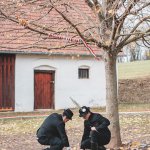 Kerbájt 2019