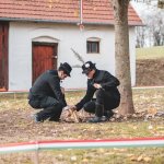 Kerbájt 2019